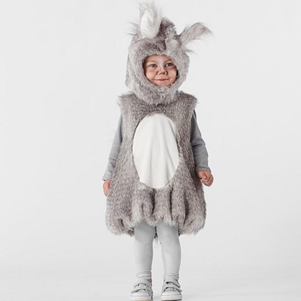 Pottery Barn Kids Woodland Squirrel Costume
